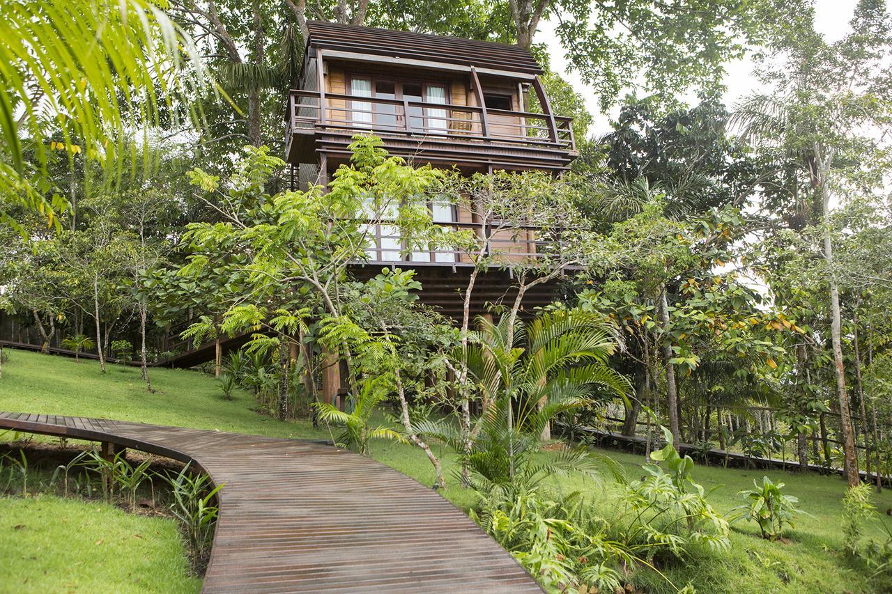 Mirante Do Gaviao Amazon Lodge Novo Airão Extérieur photo